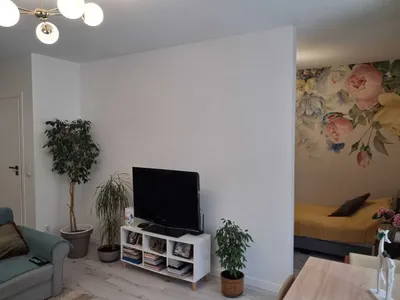 Nowoczesna kawalerka z wydzieloną SYPIALNIĄ i OGRÓDKIEM | ul. Wolińskiego - miniatura 2