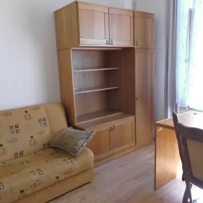 mieszkanie jednopokojowe na Starym Mieście - miniatura 3