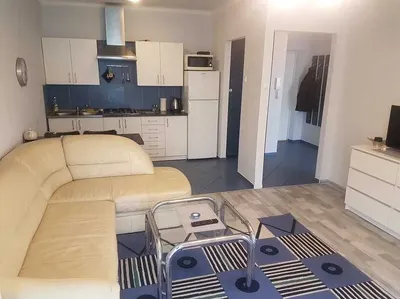 Centrum Al. Kościuszki 44m2 blok - miniatura 3