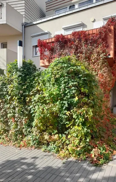 2 pokoje, Oporów (Balzaka), ogródek, garaż w cenie - miniatura 2