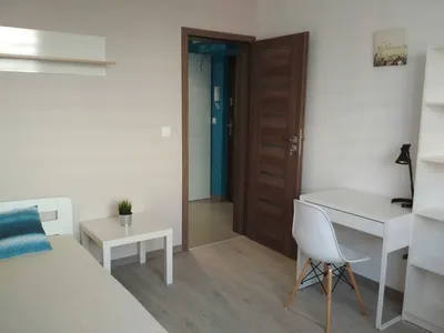 Duży komfortowy pokój dla studenta, Katowice Ligota-Panewniki, Krucza - miniatura 2