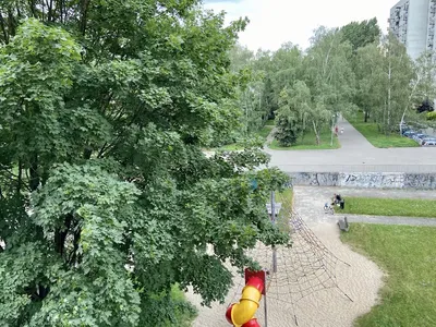 Mieszkanie 2 pokoje Sadyba od 01.09.2026 - miniatura 2