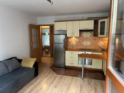 Wynajej mieszkania Ruczaj - miniatura 2