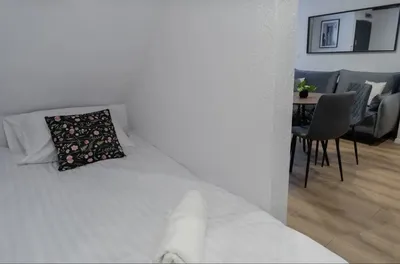 Mieszkanie do wynajęcia w centrum - miniatura 3