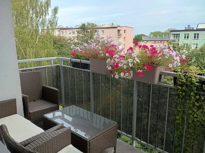 Kawalerka z osobną kuchnią i dużym balkonem (Klimontów, ul. Makuszyńskiego)