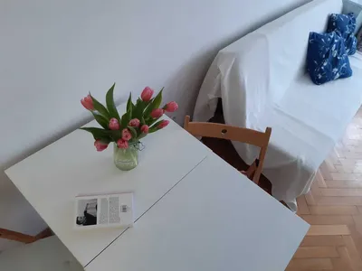 Wynajmę kawalerkę na Sadach Żoliborskich - miniatura 5
