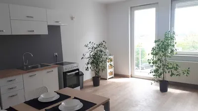 Kawalerka do wynajęcia, Krzyki/Wojszyce. Nowy blok. Od zaraz. Duży metraż 36 m.kw. Przyjazna zwierzętom. - miniatura 2