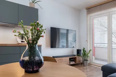 Komfortowe 2 pokoje | Salon z aneksem | Miejsce postojowe | Malwowa - miniatura 5