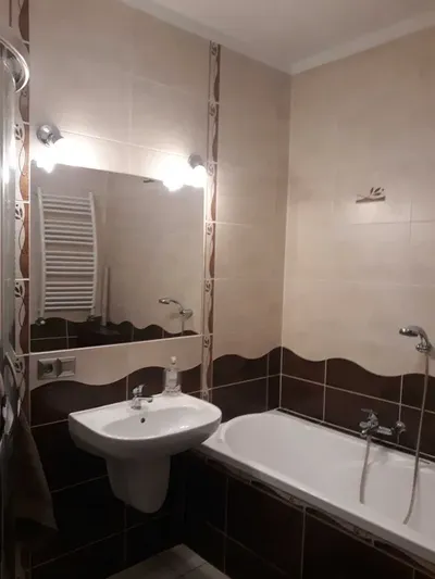 Naramowice bezpośrednio ul Błażeja - miniatura 4