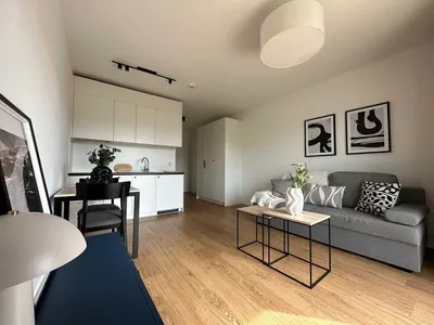 Studio - ul. Przyjaźni Polsko-Węgierskiej 6A/314– bez pośredników - miniatura 4