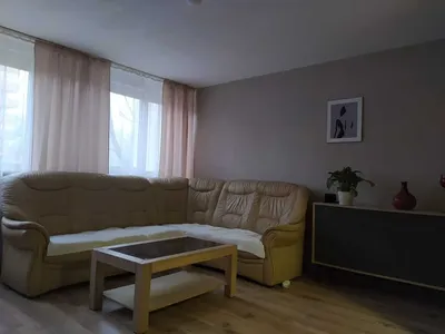 2-pokojowe mieszkanie do wynajęcia | 48m2 centrum, stare miasto, szczepin - miniatura 3