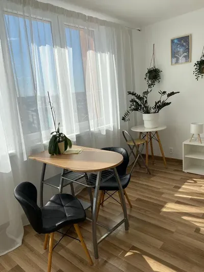 Kawalerka w centrum miasta