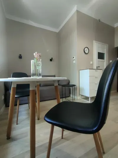 Kawalerka w zabytkowej kamienicy dostępna od zaraz - miniatura 3