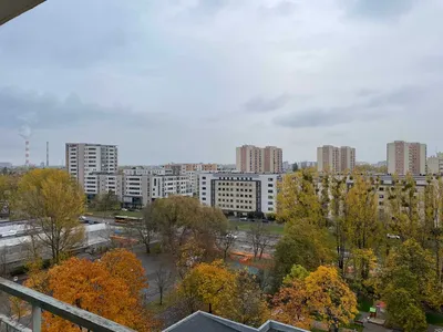 Przytulne 2 pokoje, mokotów, sadyba, stegny, Wilanów od 01.10.2026 bezpośrednio - miniatura 2