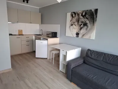 Kawalerka do wynajęcia Pomorzany - miniatura 3