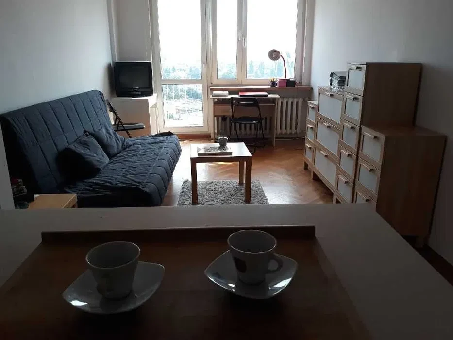 Mieszkanie dwupokojowe na wynajem - 1/29