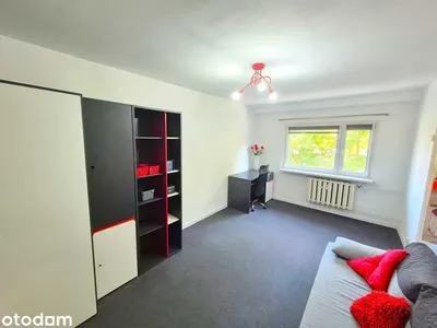Kawalerka z osobną kuchnią /27m2/ BLISKO PARK/ ul. Kamieńskiego - miniatura 3
