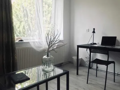 Pokój do wynajęcia w przytulnym mieszkaniu w domu| Koziny, Łódź (2 rooms for Rent in Cozy House Apartment) - miniatura 2