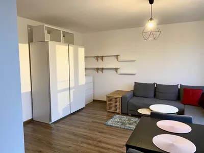 Przestronne, jasne mieszkanie na wynajem - miniatura 2
