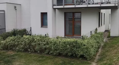 Wynajmę pokój z tarasem przy ul. Lawendowe wzgórze 9 (Jasień) - blisko tramwaje i autbusy -3 minuty pieszo - miniatura 3