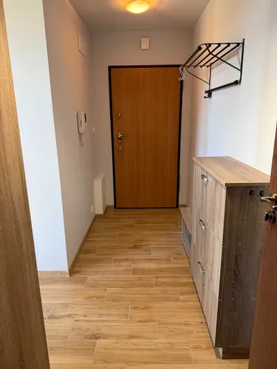 Mieszkanie 39m2, 2 pokoje, Żabiniec, bez prowizji - miniatura 2