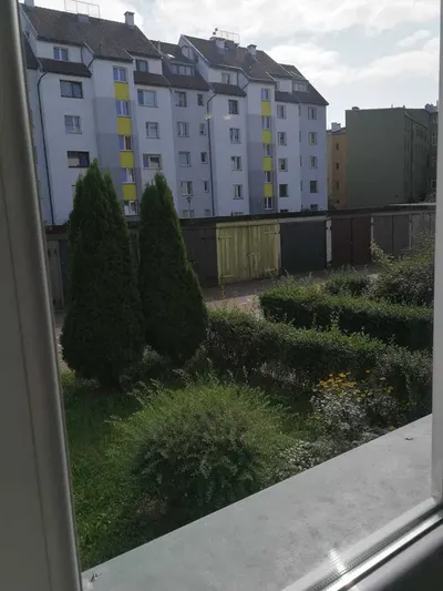 Mieszkanie do wynajęcia - miniatura 5