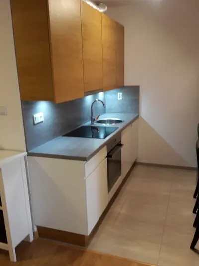 Wynajmę mieszkanie ul. Radzikowskiego-40m2- parking - miniatura 3