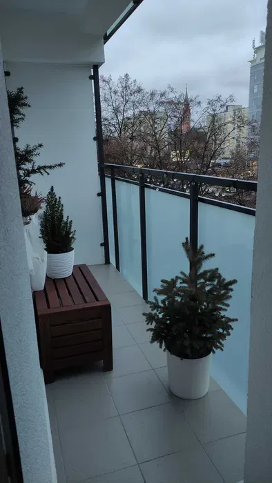 mieszkanie do wynajmu w Śródmieściu - miniatura 3