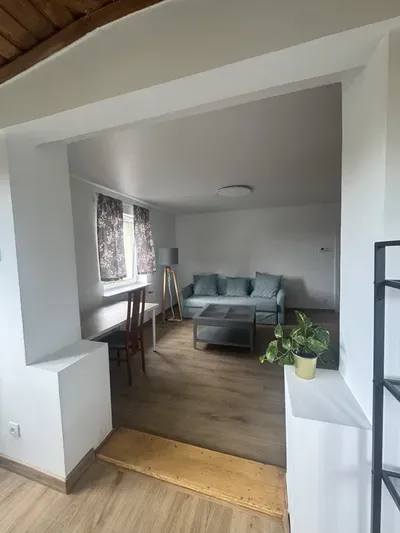 Mieszkanie 4 pokoje 114 m2 oddzielna kuchnia w prywatnej kamienicy Katowice Ligota - miniatura 2