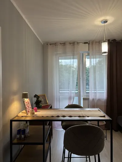 Przytulne 2-pokojowe mieszkanie 30 m² na wynajem - miniatura 2