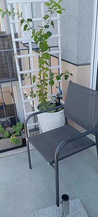 Piękna duża kawalerka z balkonem ! - miniatura 5