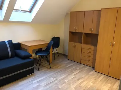 Do wynajęcia pokój 1-osobowy dla kobiety, ogródek, ul. Kudowska (Gaj) - miniatura 3