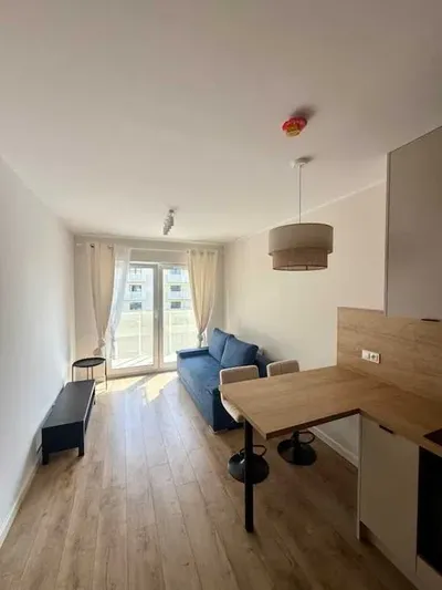 Ziarnista Winogrady 100 % Nowe Wysoki Standard Garaż - miniatura 2