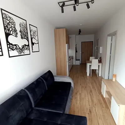 Skorosze - Nowe na wynajem 2-pokojowe, balkon, Ryżowa 66c - miniatura 3
