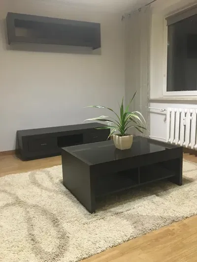 Mieszkanie Wrotków wynajem - miniatura 2