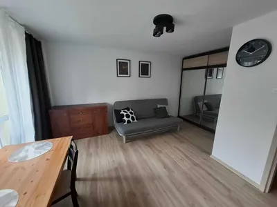 Wynajmę kawalerkę 30m2 + balkon - po remoncie, od zaraz - miniatura 3