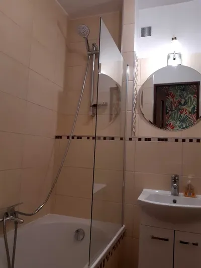 Mieszkanie 48m2, Grabiszyńska, akceptuje zwierzaki - miniatura 4