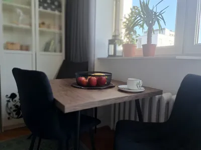 Przytulna ciepła kawalerka przy parku BEZPOŚREDNIO - miniatura 4
