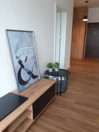 Do wynajęcia 2-pokojowy apartament z tarasem i garażem, Katowice Kępowa - miniatura 3