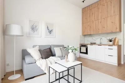 Studio – Al. 3 Maja 51B/5 - Błonia – bez pośredników