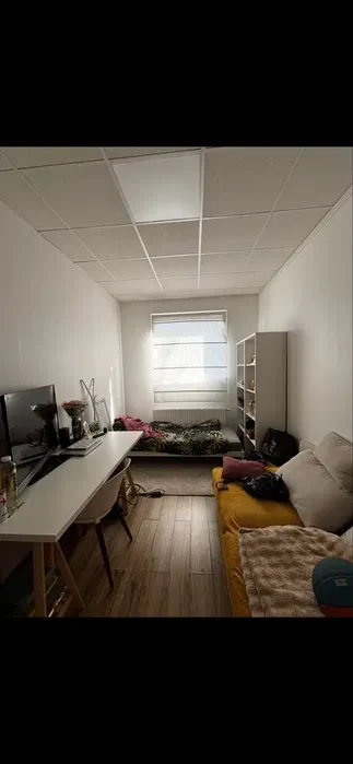 Przytulny pokój dla dziewczyny w okolicy Sky Towera - 1/5