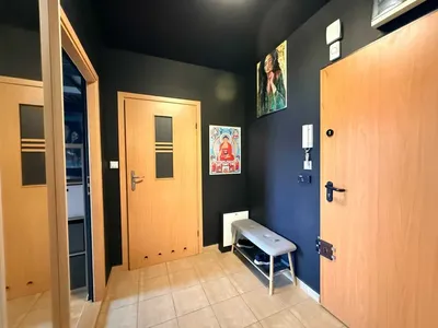 na wynajem stylowa kawalerka na Pradze Południe - miniatura 3
