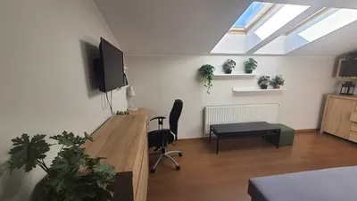Ładny pokój dla studentów - miniatura 3