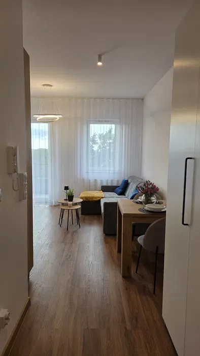 Mieszkanie do wynajęcia - miniatura 2