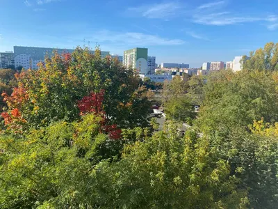 Wynajmę kawalerkę 26 m2 z dużym balkonem - Łódź Widzew Wschód przy ulicy Ćwiklińskiej 18 na 5 piętrze w 10 piętrowym bloku z windą - miniatura 2