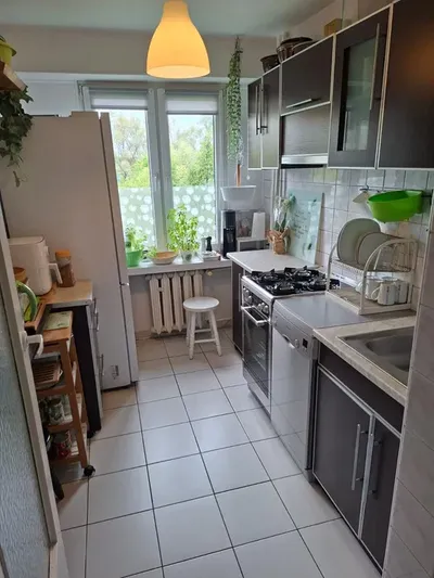 Do wynajęcia 2 pokoje, ulica Heila, Wola Duchacka - miniatura 4