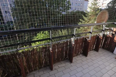 Dupokojowe mieszkanie na ZWM-ie - miniatura 2