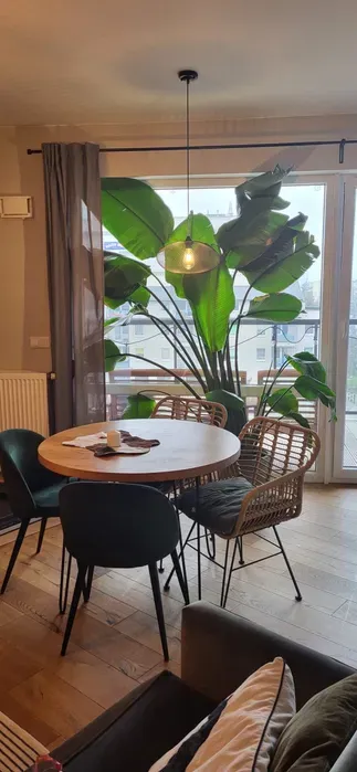 Mieszkanie Nowe Miasto Rozanka 49 m2 + 28 m2 balkon - miniatura 5