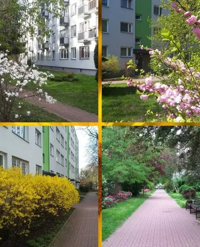 Wynajmę mieszkanie 2-pokojowe 41 metrów ul. Podleśna Warszawa Bielany - miniatura 5