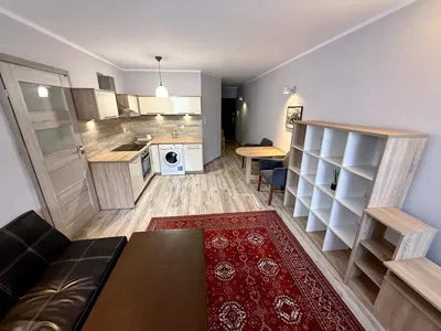 Dwupokojowe mieszkanie 50m2 w sercu Olsztyna do wynajęcia - miniatura 2